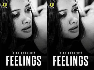 Feelings