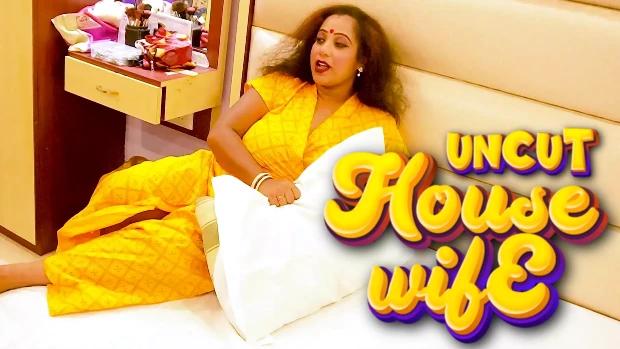 Housewife  2023  Hindi Uncut Short Film