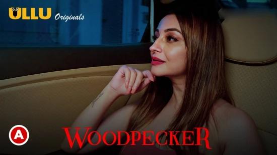 Woodpecker S02  2020  Hindi Hot Web Series  UllU