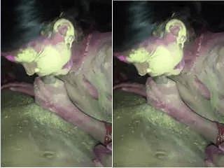 Desi Couple Holi Romance and Fucking Part 2