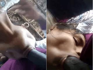 Desi Village Girl Sucking Lover Dick